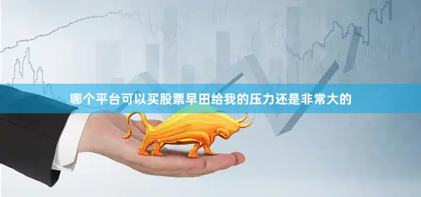 哪个平台可以买股票早田给我的压力还是非常大的