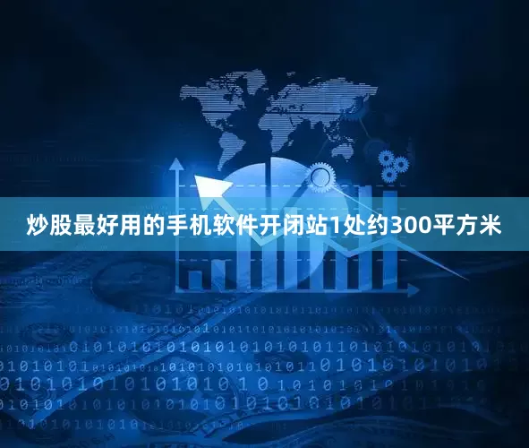 炒股最好用的手机软件开闭站1处约300平方米