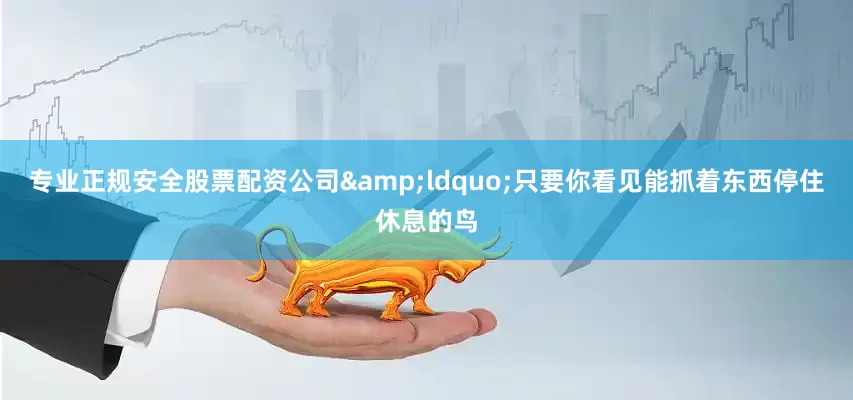 专业正规安全股票配资公司&ldquo;只要你看见能抓着东西停住休息的鸟